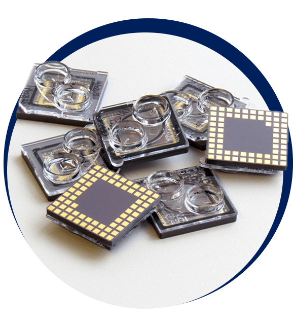 Zestaw mikroczipów i płytek laboratoryjnych dla zaawansowanych analiz genetycznych